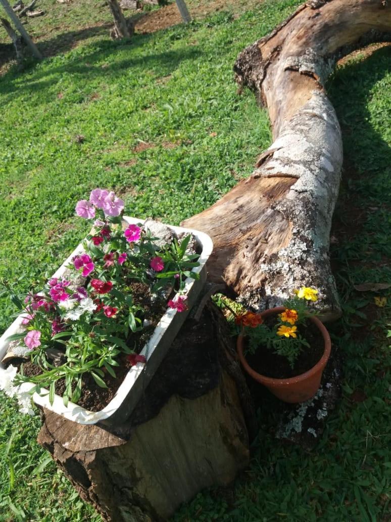 Pousada Dedo De Deus Paraisópolis Exterior foto